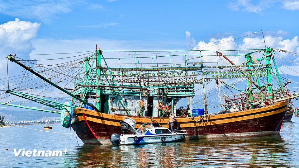 Với sự vào cuộc quyết liệt của cả hệ thống chính trị và các lực lượng chức năng, Đà Nẵng đặt quyết tâm chấm dứt tình trạng vi phạm IUU, bảo vệ nguồn lợi thủy sản bền vững, nâng cao uy tín sản phẩm hải sản Việt Nam trên thị trường quốc tế. (Ảnh: Thanh Phong/Vietnam+)