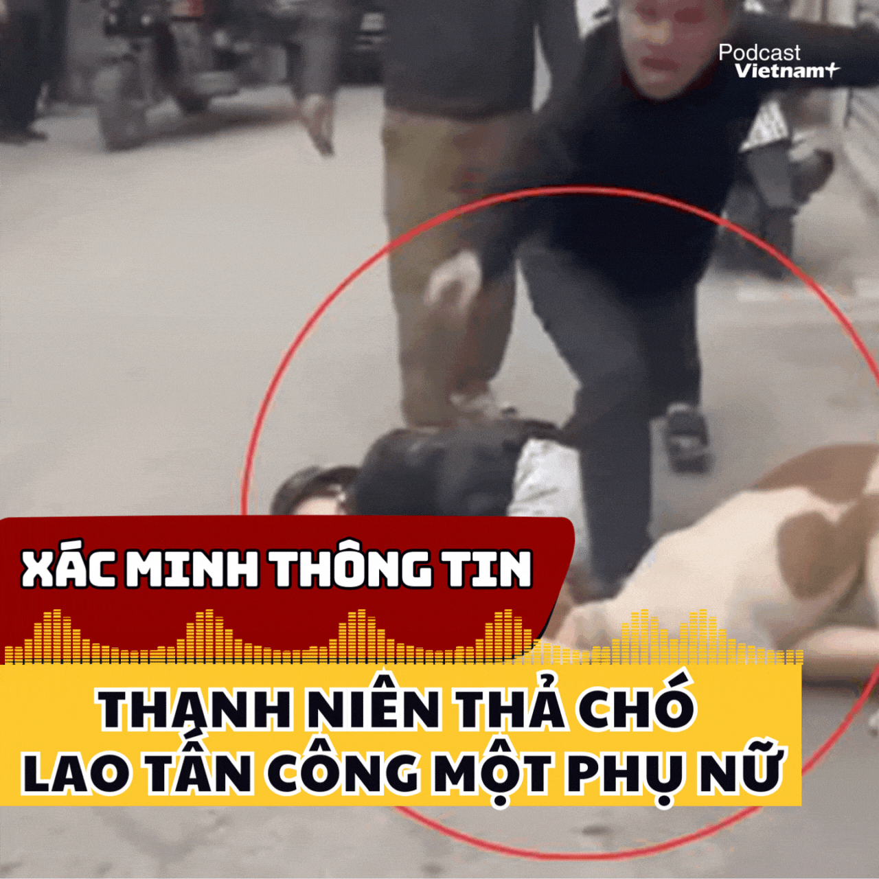 Công an Hà Nội xác minh thông tin thanh niên thả chó tấn công một phụ nữ 