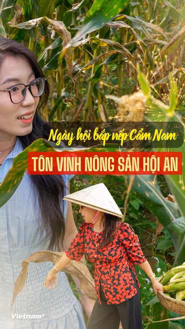 Bắp nếp Cẩm Nam, một trong những đặc sản có hương vị độc đáo của vùng Di sản Văn hóa Thế giới phố cổ Hội An. (Ảnh: Thanh Phong/Vietnam+)