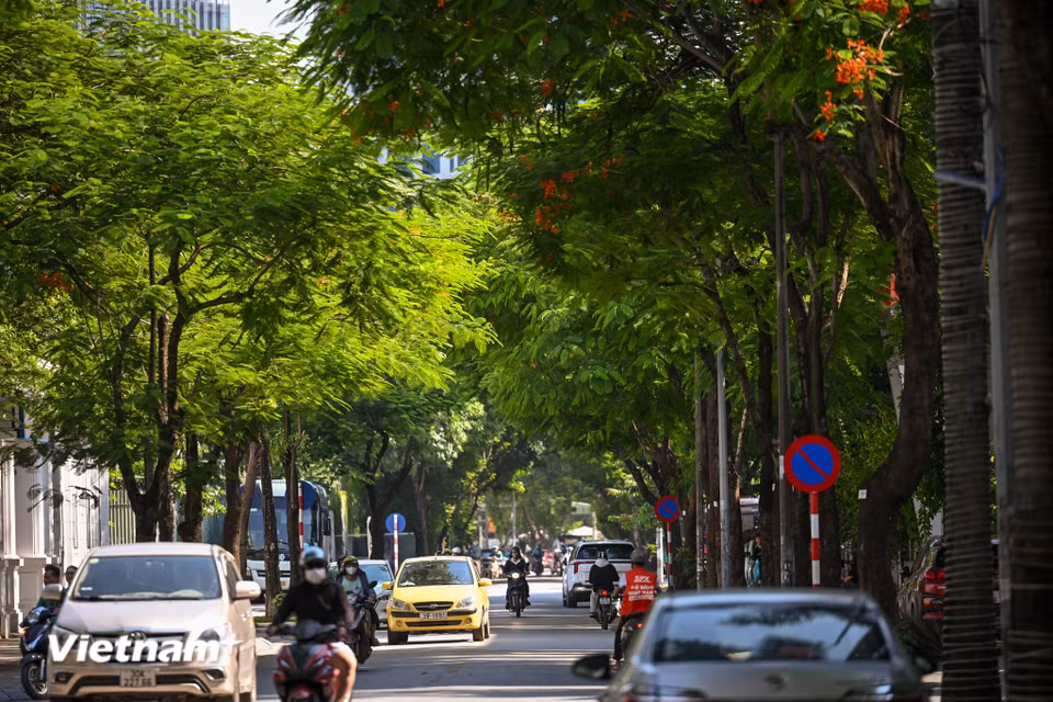 Sự xuất hiện của tuyến phố đi bộ thông minh tại khu vực Cầu Giấy không chỉ làm phong phú thêm không gian vui chơi giải trí cho người dân Thủ đô mà còn khẳng định bước tiến mới của Hà Nội trong việc ứng dụng công nghệ để quản lý và vận hành các không gian đô thị hiện đại. (Ảnh: Minh Sơn/Vietnam+)