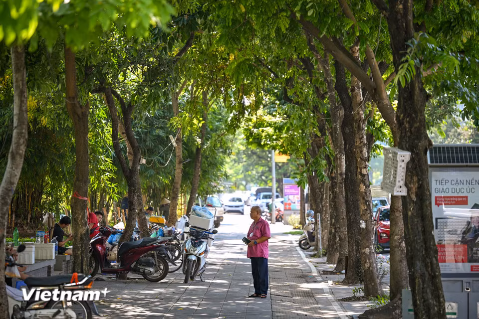 Đề án được triển khai theo hai giai đoạn. Trong đó, giai đoạn 1 tập trung xây dựng khu vực lõi của không gian văn hóa Cầu Giấy, gồm một số hạng mục trong Công viên Cầu Giấy và đoạn phố Thành Thái giáp công viên. (Ảnh: Minh Sơn/Vietnam+)