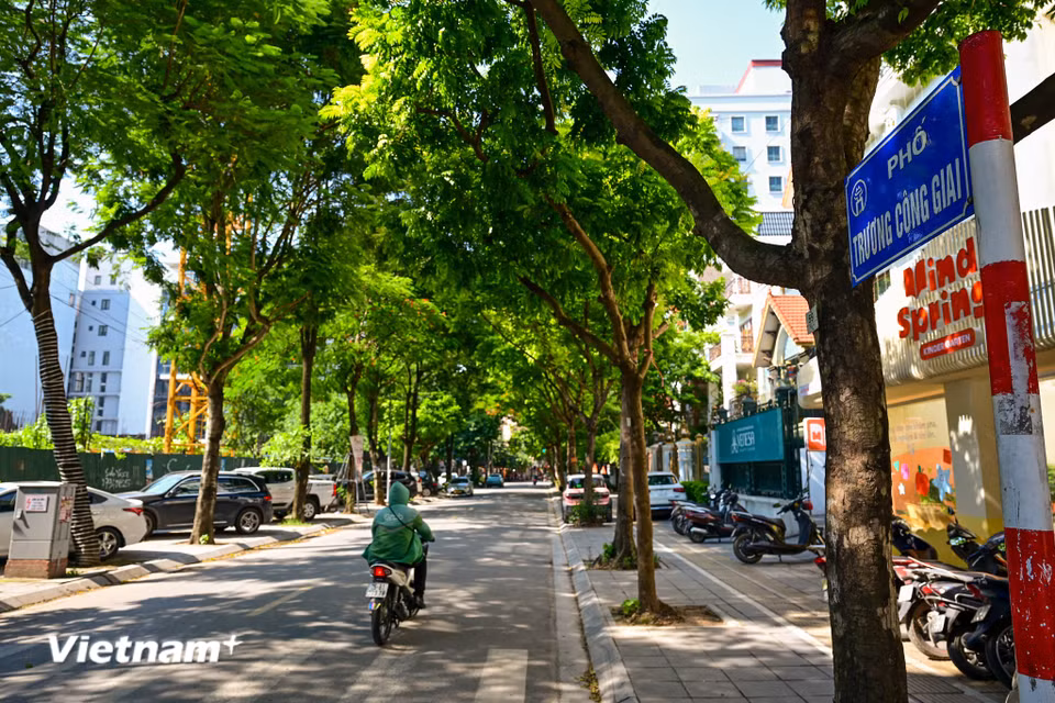 Tuyến phố Trương Công Giai rợp bóng cây xanh mát. (Ảnh: Minh Sơn/Vietnam+)