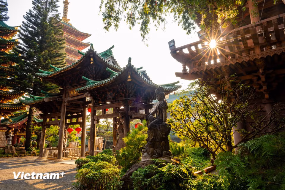 Đến tham quan vãn cảnh tại chùa, du khách có thể tận hưởng không gian xanh mát, yên bình, thanh tịnh với những cây cối, tiểu cảnh, hồ nước, bức tường rêu phong. (Ảnh: Minh Sơn/Vietnam+)