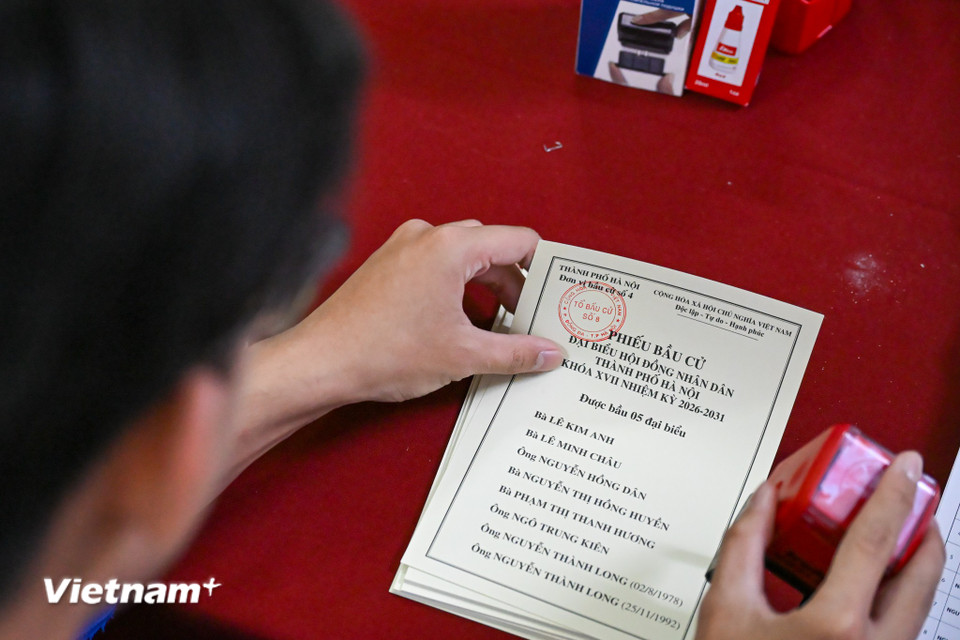 Ông Việt cho biết kể từ khi nhận phiếu bầu, tổ bầu cử đã cấp tập làm đến tối để hoàn thiện phiếu. Đoàn Thanh niên phường Đống Đa đã ra quân hỗ trợ các tổ bầu cử trên địa bàn phường như tăng cường công tác tuyên truyền, treo băng rôn, áp phích, niêm yết danh sách cử tri, rà soát phiếu bầu. (Ảnh: Minh Sơn/Vietnam+)