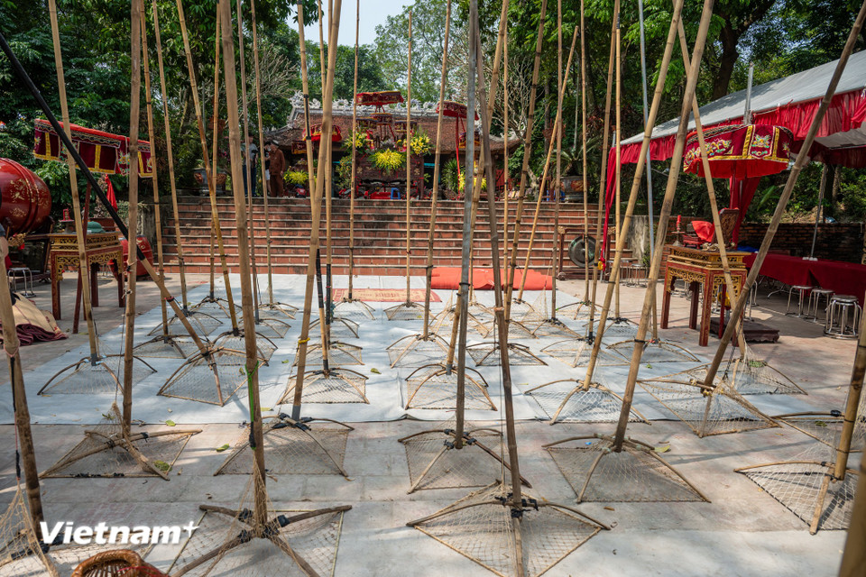 Dù dập sào nhiều khi diễn ra cao điểm vào các tháng nước xuống (cuối Thu - đầu Đông) nhưng ở Tường Phiêu (Phúc Thọ, Hà Nội) nghi thức 'đánh cá dâng' được đưa vào chương trình lễ hội xuân. (Ảnh: Minh Sơn/Vietnam+)