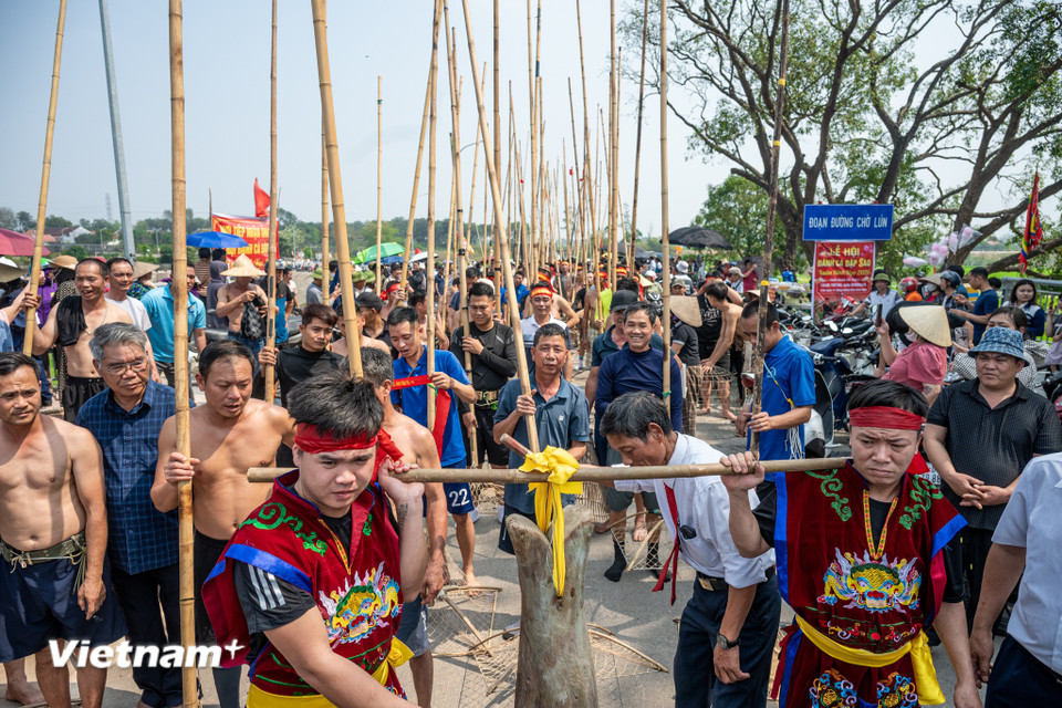 Chiều 2/3 (tức 14 tháng Giêng Âm lịch) tại khu vực Tường Phiêu (xã Phúc Thọ, Hà Nội), hàng trăm trai tráng hay còn gọi là 'dập thủ' đã mang sào tre ra bờ sông Tích sẵn sàng cho một mùa lễ hội bội thu cá. (Ảnh: Minh Sơn/Vietnam+)