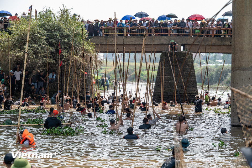 Lễ hội dập sào bắt cá tại Tường Phiêu là minh chứng rõ rệt cho cách cộng đồng nông nghiệp ven sông gắn bó nghề nước với đời sống tín ngưỡng; đó là một di sản 'sống' không chỉ tồn tại trong sách vở mà được tái hiện chân thực qua tiếng sào gõ, tiếng hò, và con cá được dâng lên ban thờ. (Ảnh: Minh Sơn/Vietnam+)