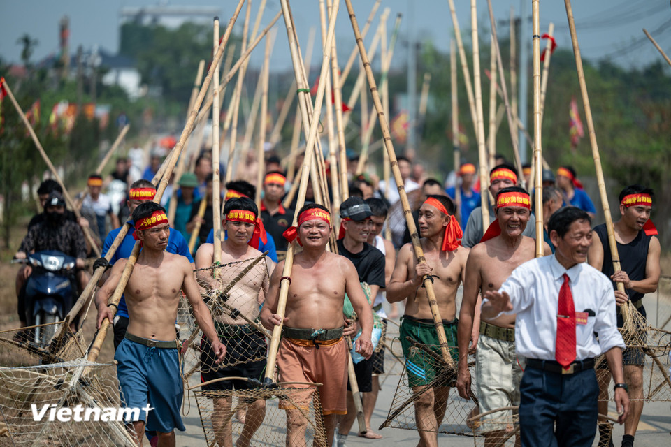 Về vùng ven sông Tích những ngày này, du khách có thể dễ dàng bắt gặp hình ảnh hàng trăm trai tráng lội bì bõm, tay vung những cây sào dài, cùng nhau gõ mạnh xuống mặt nước, tiếng 'dập sào' vang thành nhịp, cá vỡ đàn, người hò reo. (Ảnh: Minh Sơn/Vietnam+)