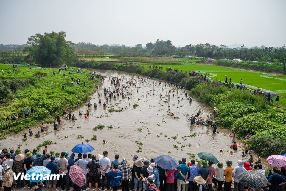 Tiếng sào tre đập xuống mặt nước chan chát, tiếng hò gọi nhau rộn ràng, tạo nên bức tranh sinh hoạt dân dã, đậm đà hồn quê ven sông. (Ảnh: Minh Sơn/Vietnam+)