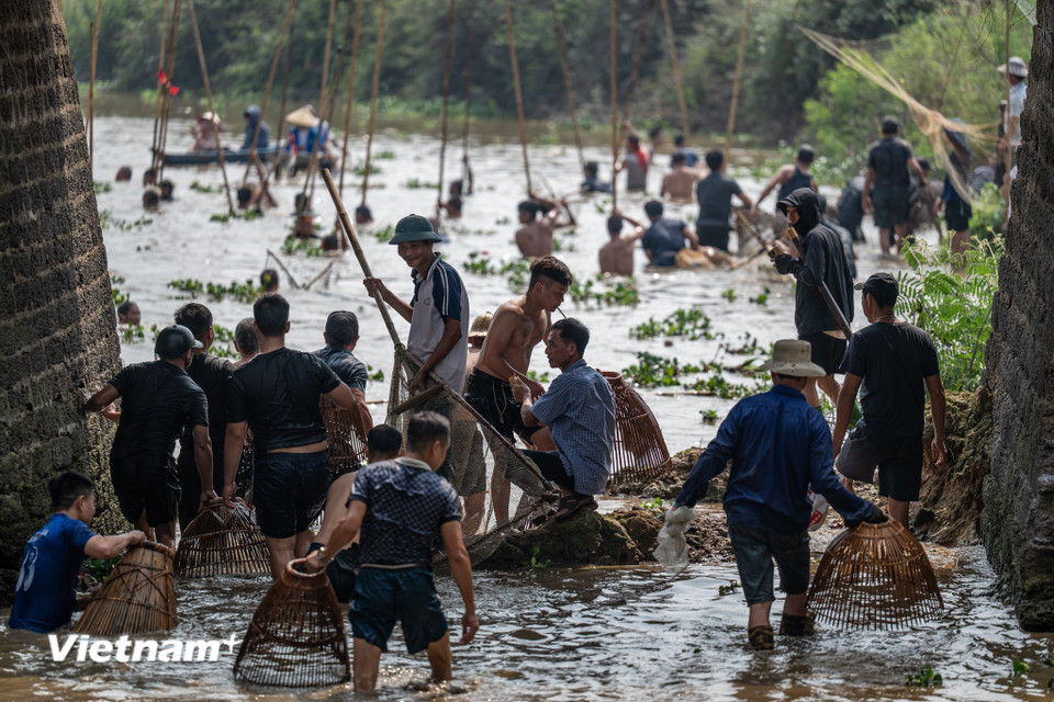 Việc giữ gìn lễ hội đòi hỏi cả sự tôn trọng truyền thống lẫn sáng tạo trong hình thức tổ chức để phù hợp bối cảnh đương đại: bảo tồn nghi lễ chính, đồng thời tạo ra không gian cho thế hệ trẻ tham gia, học hỏi và hiểu được ý nghĩa của những hành động tưởng như bình dị như cú dập sào nghe qua thô kệch nhưng ẩn chứa cả một hệ giá trị đồng thời là ký ức cộng đồng. (Ảnh: Minh Sơn/Vietnam+)