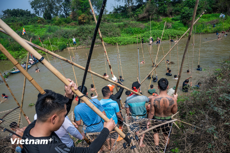 Khi xuống sông, những người đàn ông đứng thành hàng ngang, tay cầm sào tre dập mạnh xuống nước. Con cá nào lọt vào trong khung sẽ quẫy mạnh, người dập sào sẽ gỡ cá khỏi lưới hoặc lặn xuống để bắt lên. (Ảnh: Minh Sơn/Vietnam+)