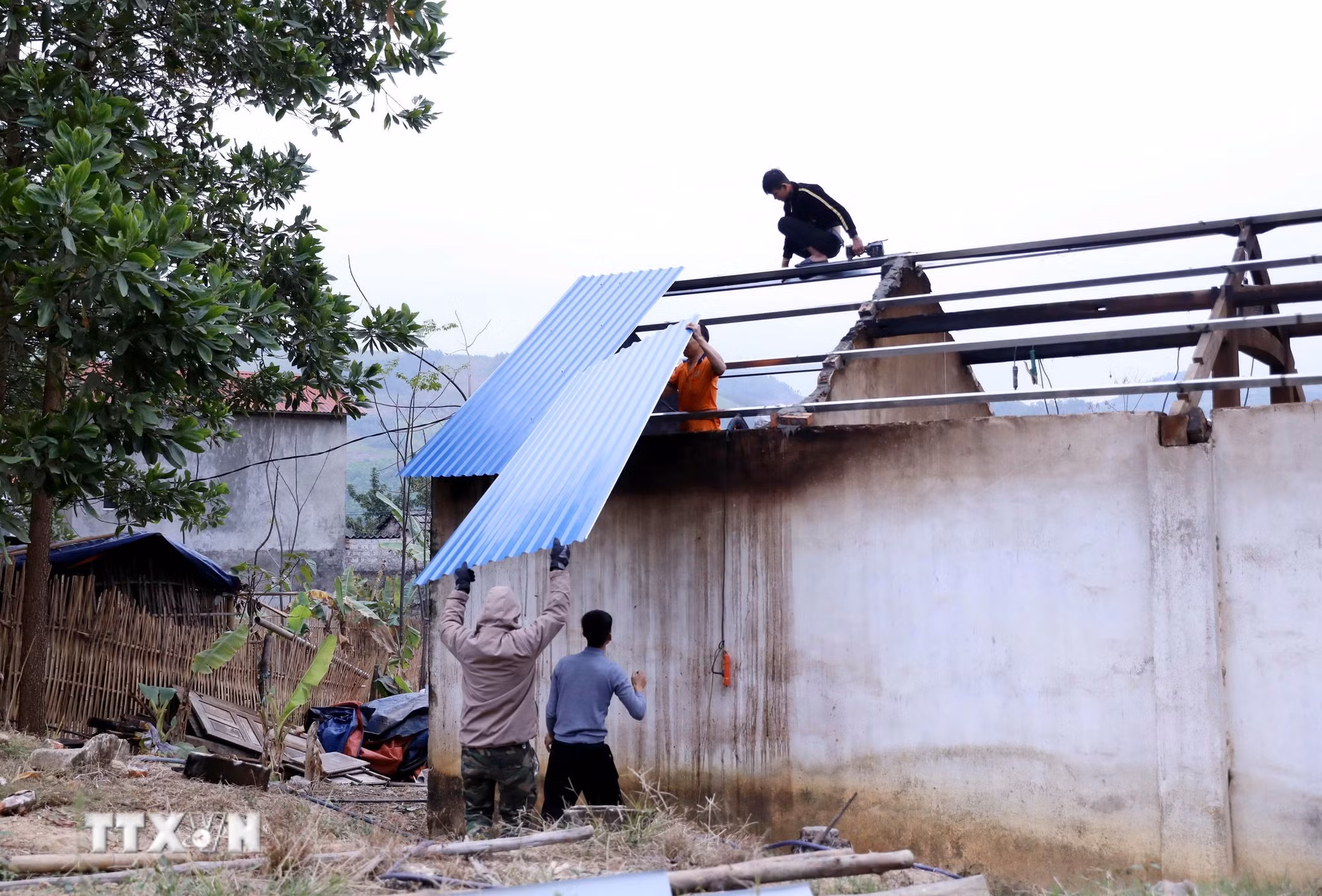 ttxvn-xoa-nha-tam-tuyen-quang.jpg