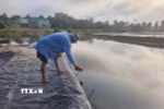 Ông Bùi Văn Hùng, diêm dân phường Long Toàn, thành phố Bà Rịa, lót bạt cho bờ ruộng muối, tránh trời mưa nước trôi xuống ruộng. (Ảnh: Hoàng Nhị/TTXVN)