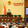Quang cảnh Quốc hội biểu quyết thông qua Luật. (Ảnh: Doãn Tấn/TTXVN) 