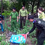 Thả kỳ đà hoa về rừng đặc dụng vườn chim Bạc Liêu