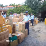 Lực lượng quản lý thị trường tỉnh Tây Ninh kiểm tra kho hàng tại hộ kinh doanh B.N. (ấp Bà Phổ, xã Thủ Thừa, tỉnh Tây Ninh) nghi giả mạo nhãn hiệu, không rõ nguồn gốc. (Ảnh: Minh Phú/TTXVN)