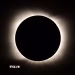 (Ảnh: AFP/TTXVN)