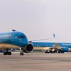 Máy bay của Hãng hàng không Vietnam Airlines tại Sân bay Tân Sơn Nhất. (Ảnh: PV/Vietnam+)