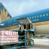 Vietnam Airlines sẽ tập trung xây dựng các trung tâm logistics tại các sân bay trong nước như Long Thành, Gia Bình nhằm phục vụ mở rộng lĩnh vực hàng hóa. (Ảnh: PV/Vietnam+)