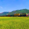 Đường sắt sẽ miễn phí vận chuyển hàng hóa cứu trợ bằng tàu hỏa đến vùng lũ miền Trung. (Ảnh: PV/Vietnam+)