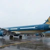 Máy bay của hãng hàng không tại Sân bay Nội Bài. (Ảnh: PV/Vietnam+)