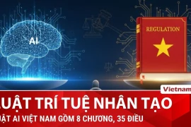 Hoạt động AI nào không thuộc phạm vi điều chỉnh của Luật Trí tuệ nhân tạo?