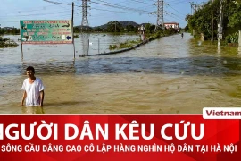 Lũ sông Cầu dâng cao cô lập hàng nghìn hộ dân một xã tại Hà Nội 