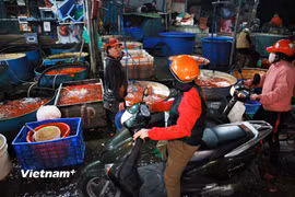 Chợ cá lớn nhất Thủ đô hối hả trong đêm trước ngày ông Công ông Táo