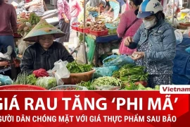 Người dân Thủ đô 'choáng' với giá rau xanh tăng mạnh sau đợt bão lụt