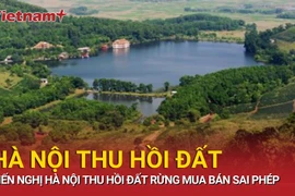 Hà Nội xử vụ sai phạm đất rừng phòng hộ, đề nghị thu hồi diện tích vi phạm 
