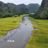 Cánh đồng lúa ở Tam Cốc, xã Ninh Hải, thành phố Hoa Lư (Ninh Bình) vào vụ thu hoạch. (Ảnh: Thùy Dung/ TTXVN)