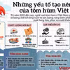 Những yếu tố tạo nên giá trị cho tôm hùm Việt Nam