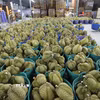 Sầu riêng được bày bán tại Chanthaburi, Thái Lan. (Ảnh: THX/TTXVN)