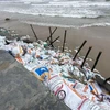 Các bao cát được chèn vào các khu vực nước biển xâm thực để hạn chế sạt lở. (Ảnh minh họa: Trần Lê Lâm/TTXVN)