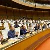 Đại biểu Quốc hội biểu quyết thông qua các luật, nghị quyết. (Ảnh: Doãn Tấn/TTXVN)