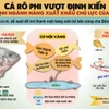 Cá rô phi vượt định kiến, trở thành mặt hàng xuất khẩu chủ lực