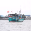 Tỉnh Cà Mau đang quyết tâm cùng cả nước gỡ thẻ vàng EC. (Ảnh: Chanh Đa/TTXVN)