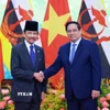 Thủ tướng Phạm Minh Chính hội kiến Quốc vương Brunei Darussalam Haji Hassanal Bolkiah. (Ảnh: Dương Giang/TTXVN)