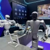 Robot hình người. (Ảnh minh họa. Công Tuyên/TTXVN)