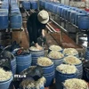 Sản xuất giá đỗ. (Ảnh TTXVN phát)