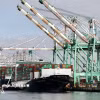 Quang cảnh cảng hàng hóa Long Beach ở California, Mỹ. (Ảnh: THX/TTXVN)