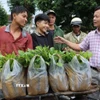 Số cây giống được tiếp nhận tại Đại hội. (Ảnh: Cao Nguyên/TTXVN)