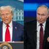 Tổng thống Mỹ Donald Trump và Tổng thống Nga Vladimir Putin. (Nguồn: THX/TTXVN)