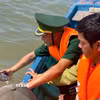 Cà Mau thả cá thể Đồi mồi và Vích về với biển. (Ảnh TTXVN phát)