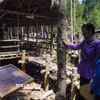Di tích chiến khu Rừng Sác không chỉ là chiến trường xưa mà còn là một chứng tích sống, một trang sử không bao giờ khép lại. (Ảnh: Hữu Duyên/TTXVN)