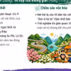 Hà Giang, Hội An lọt top điểm đến đẹp nhất thế giới năm 2026