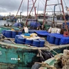 Tàu BV-92997-TS cùng tang vật và các tàu vi phạm khác được neo ở khu vực riêng tại âu thuyền Bắc Trạch, xã Bắc Trạch, tỉnh Quảng Trị. (Ảnh: TTXVN phát)