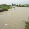 Khu vực Suối Giữa đoạn chảy qua các phường Tương Bình Hiệp, Chánh Mỹ và Hiệp Thành xảy ra tình trạng vỡ bờ bao, dòng nước tràn vào khu dân cư, gây thiệt hại về tài sản và hoa màu của hàng chục hộ dân. (Ảnh: Dương Chí Tưởng/TTXVN)