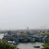 Tàu thuyền vào nơi trú tránh tại Âu thuyền Thọ Quang, vịnh Mân Quang (Đà Nẵng). (Ảnh: Anh Dũng/TTXVN)