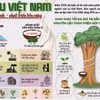 Cao su Việt Nam: Giá trị bền vững từ nguồn nguyên liệu thân thiện với môi trường